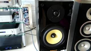 Nobsound NS20004 [upl. by Lindemann]