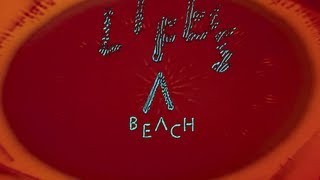 Django Django  Lifes a Beach Official Video [upl. by Reitman]