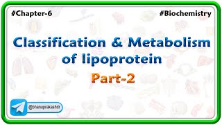 Chapter 6  Lipids  Classification amp Metabolism Of lipoprotein Part 6  Hindi [upl. by Eelek244]