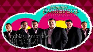 Conjunto Primavera Cumbias Inmortales DJ TOEZ [upl. by Feldt]