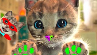 CARTOON LITTLE KITTEN ADVENTURE  KITTY AND INTERESTING WORLD [upl. by Renrag568]