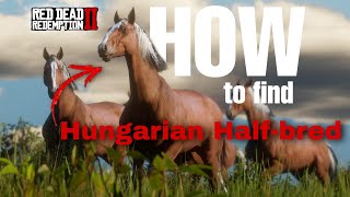 Spawn location of Hungarian Halfbred  Red dead redemption 2 [upl. by Nekcerb221]