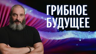 Новая всепланетная грибная циркуляторная экономика Лекция Михаил Вишневский [upl. by Mikaela]