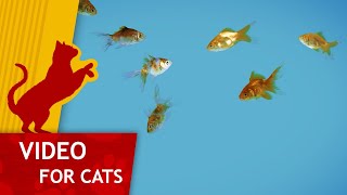 Movie for Cats  🐟 Shoal of Gold Fish Video for Cats 4K [upl. by Ymer]