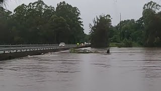 Watch How FAST North Richmond Bridge Starts To GO UNDER WARNING SPIDERS [upl. by Arodal]