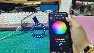 WLED Made Easy Control Your NeoPixel LEDs with XIAO ESP32 MCUs [upl. by Nolly]