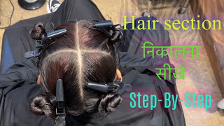 Hair Section निकालन सीखे StepByStep  Hair Cut Section कैसे निकाले  Hair Highlights Section [upl. by Lewendal]