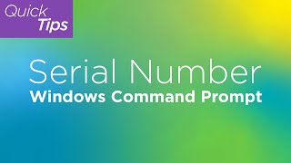 Serial Number Windows Command Prompt  Lenovo Support Quick Tips [upl. by Atibat]