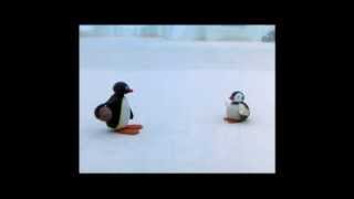 Pingu Cannot Lose Clip  Pingu Official Channel [upl. by Bertha890]