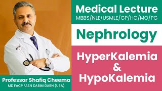 Hyperkalemia amp Hypokalemia  Disorders of Potassium Metabolism  Professor Shafiq Cheema MD FASN [upl. by Enyaj]