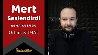 Asma Çubuğu  Orhan Kemal  Sesli Hikaye Mert Şişko kanalımız için seslendirdi [upl. by Lidah767]