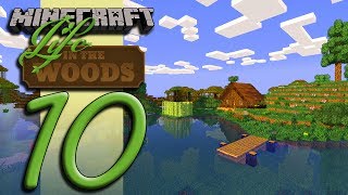 Minecraft Life In The Woods  EP10  Training Cabin Complete [upl. by Torrence]