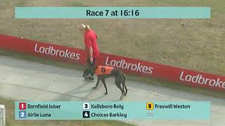 Crayford Greyhounds Races on 30th August 2024 [upl. by Sahpec813]