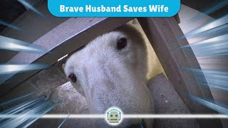 Heroic Husband Leaps to Defend Wife from Polar Bear in Shocking Encounter [upl. by Mirabella]