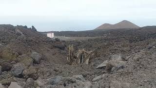 La Palma nach der Eruption  wird die LP211 und Todoque wieder aufgebaut [upl. by Brittne]