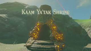 Zelda BOTW 56 Kaam Ya Tak Shrine [upl. by Attenad937]