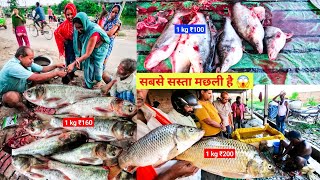 Incredible Big Bajwa Rohu Fish Cutting Skills 🔥  Fish Market  Fish Cutting Skills Live in Adapur [upl. by Eecyak341]