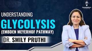 Understanding Glycolysis Embden Meyerhof Pathway cerebellumacademy neetpg fmge [upl. by Omiseno]