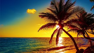 Beautiful Relaxing Peaceful Music Calm Music 247 quotTropical Shoresquot By Tim Janis [upl. by Sessylu]