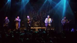 Reel Big Fish  Shes Famous Now live  Arena [upl. by Nezam]