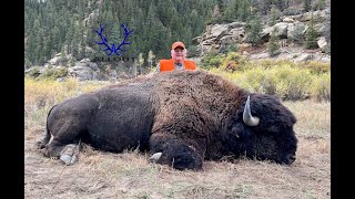 Roys Bookcliff bison hunt 2021 [upl. by Aehtela]