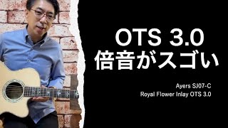 ついにOTS30登場 倍音がスゴい！ 楽器業界100年の謎とされる構造倍音を搭載したAyersギターの倍音をどうぞご自身でご確認ください。 [upl. by Aynatal135]