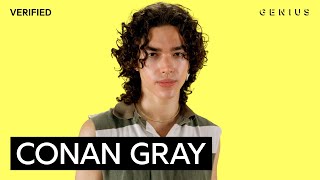 Conan Gray “People Watching” Official Lyrics amp Meaning  Verified [upl. by Anyah]