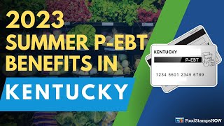 2023 Summer PEBT in Kentucky Payment Update [upl. by Phelia]