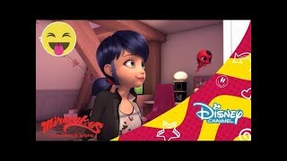 Las aventuras de Ladybug Adelanto exclusivo  Ruiseñoble  Disney Channel Oficial [upl. by Anirehtac]