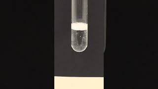 Testing For Carboxylic Acids  Sodium Carbonate [upl. by Loos]