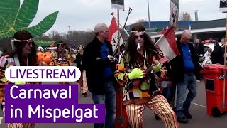 Carnavalsoptocht in Zaltbommel Mispelgat 2024  Omroep Gelderland [upl. by Latoya52]