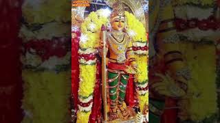 ARUPADAI VEEDUM ARUL VAZHANGUM MURUGA🙏 LORD MURUGA YOUTUBE TRENDING SHORTS WATSAP STATUS GOD🙏 [upl. by Annerb]