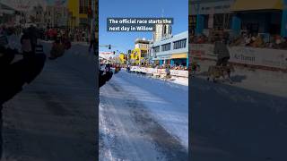 Iditarod Sled Dog Race Ceremonial Start in Anchorage [upl. by Aicatsue565]