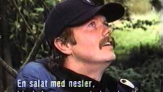 Sommarens 12 månader 1988 vilken Jävla sallad [upl. by Peg921]