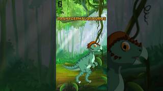 Pachycephalosaurus animals kindergarten dinosaur education dinosaursforkids elementary kids [upl. by Ydnor271]