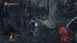 Titanite Shard x 2 amp Undead Bone Shard at Undead Settlement Dark Souls III [upl. by Coveney]