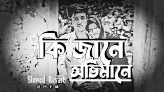 SheyKiJaneOvimaneসেকিজানেঅভিমানেJahidulLyrics [upl. by Rojas]