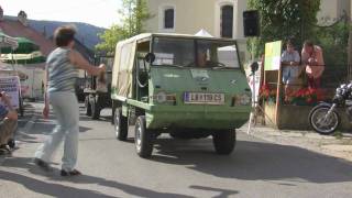 50 Jahre Haflinger Parade Schönberg Teil 2 [upl. by Yendor]