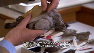 The Genius of Charles Darwin Part 1 Life Darwin and Everything 15 [upl. by Veejar]