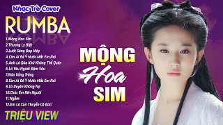 MỘNG HOA SIM  HỒNG TRẦN TÌNH CA  LK Nhạc Trẻ Rumba 8x 9x Hót TikTok  ALBUM RUMBA XUẤT SẮC NHẤT [upl. by Mcintosh144]