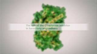 The Role of the C1Esterase Inhibitor in HAE [upl. by Raye928]