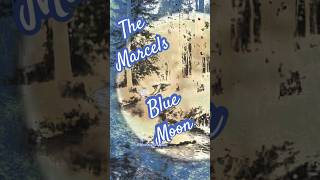 Blue Moon The Marcels doowopmusic song music bluemoon themarcels singing shortsfeed shorts [upl. by Dinnie947]