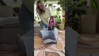 HIGH QUALITY potting soil perlite orchid bark Mix well 🤌🏻 Happy growing planttips soil diy [upl. by Xxam]