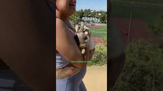 Couple Finds An Abandoned Bunny On Their Walk  The Dodo [upl. by Brigham]