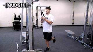 Cable rope pull down single leg Gudgie [upl. by Saideman]