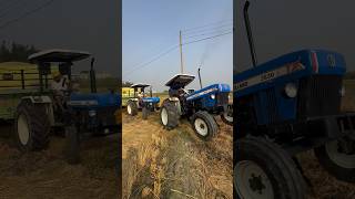 Jhote 🐍 3630 doaba farming jattlife punjabi [upl. by Nagey]