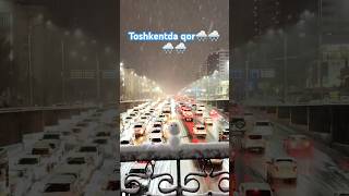 Toshkentda qor🌨️ uzbekistan travel explore [upl. by Gotthard994]