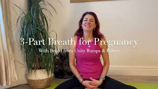 3Part Breathing for Pregnancy [upl. by Weingartner62]