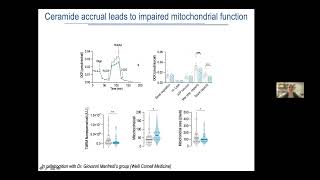 S1P controls endothelial sphingolipid homeostasis via ORMDL  2nd Feb 2022 [upl. by Keily]