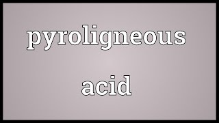 Pyroligneous acid Meaning [upl. by Orling]